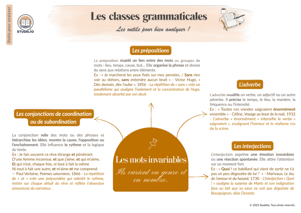 Les Natures Grammaticales Carte Mentale 1 1024x724