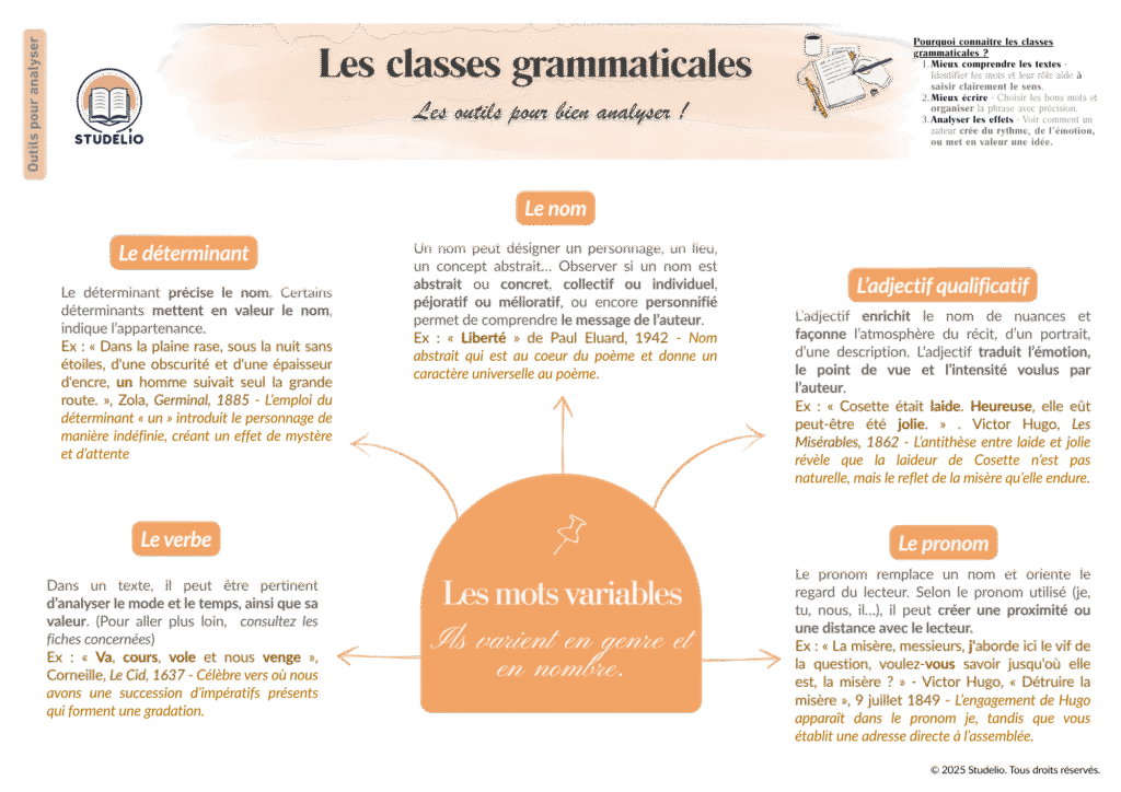 Les Natures Grammaticales Carte Mentale 1024x724